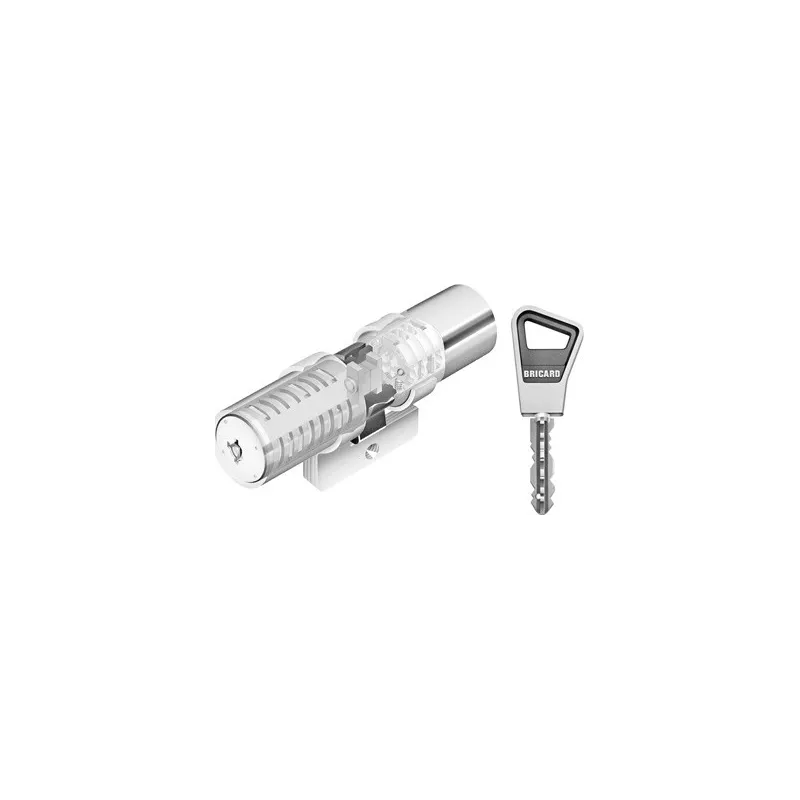 BRICARD Supersûreté pour serrure à larder – Image 2