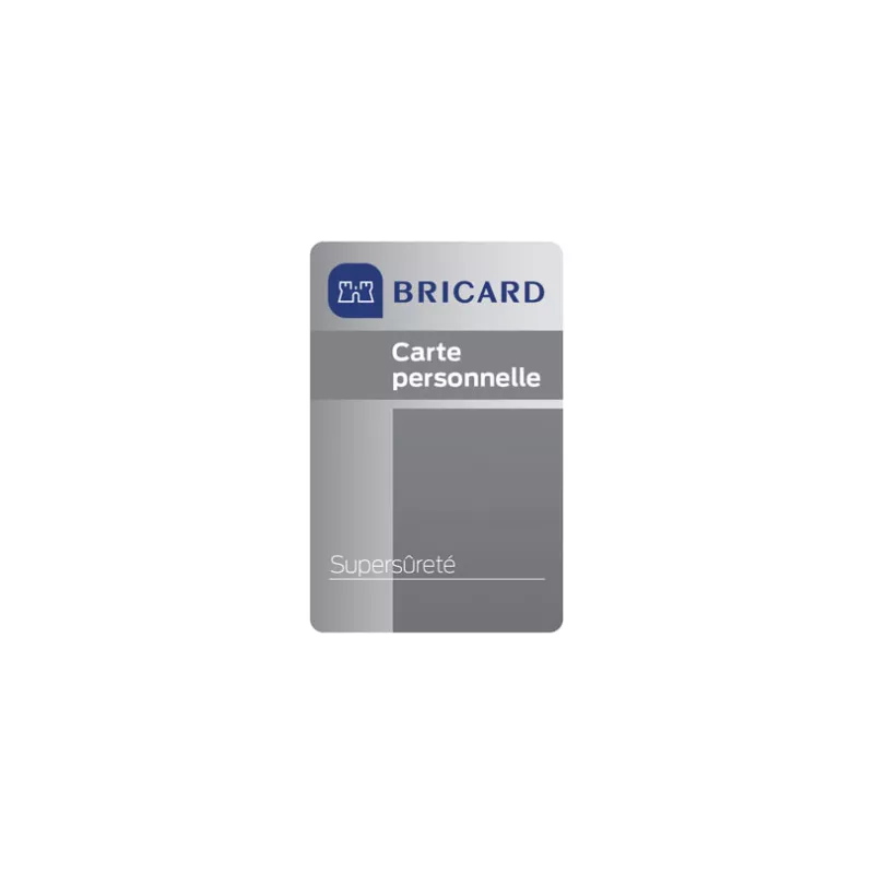 BRICARD Supersûreté pour serrure à larder – Image 3