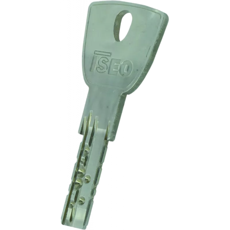 Cylindre ISEO R9 Plus – Image 2