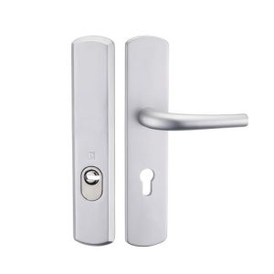Poignée borgne SALOME argent HERACLES D-600PS-F1